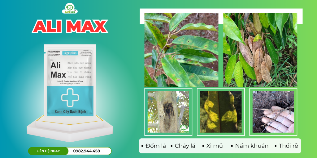 Thuốc nấm ALI MAX lưu dẫn 2 chiều cực mạnh - Karimon