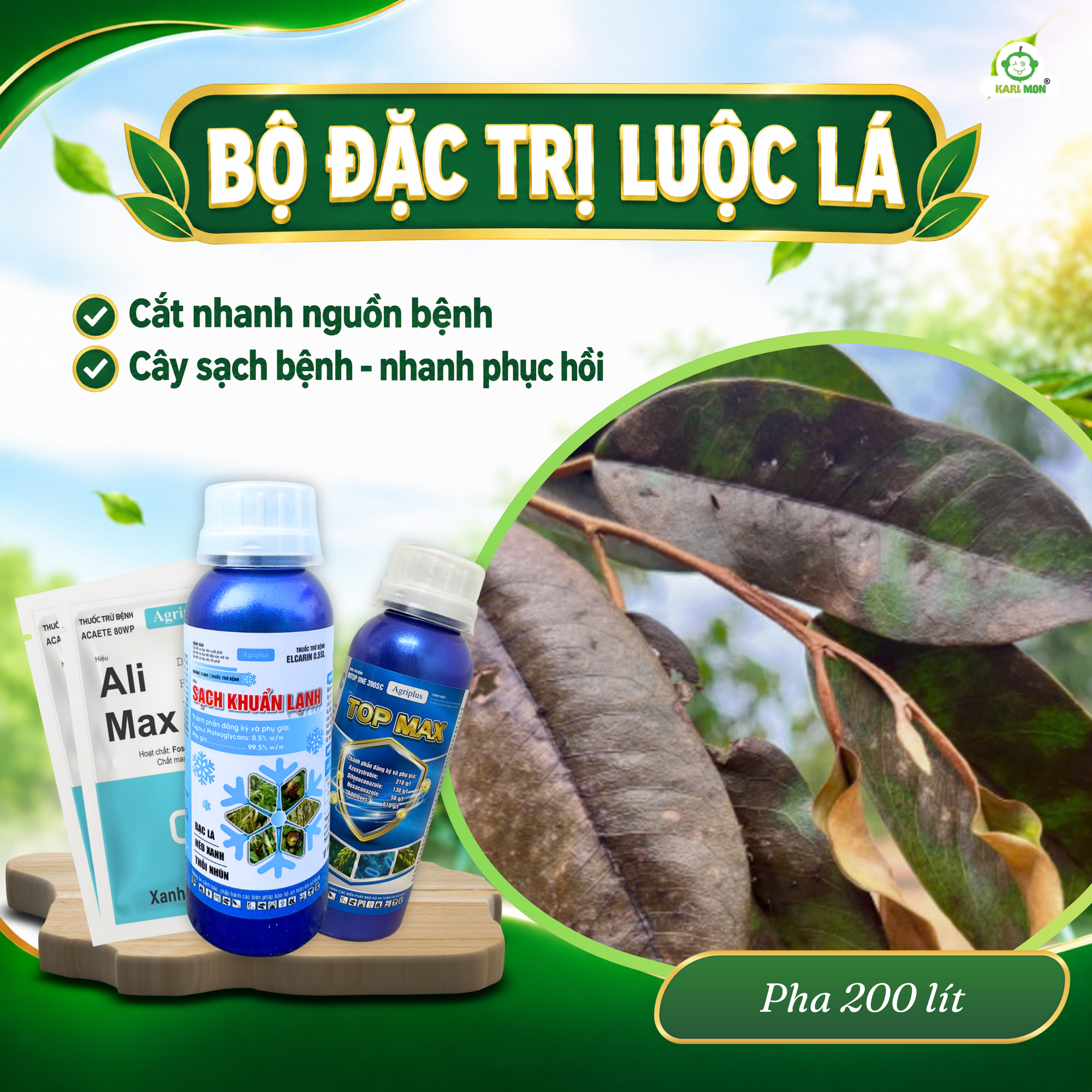 Bộ đặc trị luộc lá sầu riêng