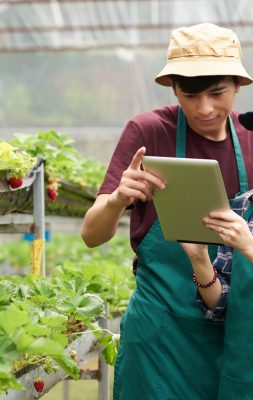 Ứng dụng đổi mới khoa học kỹ thuật trong sản xuất nông nghiệp
